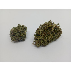 Pack Dégustation CBD Bio – 5 Fleurs Artisanales Françaises – Jardin du Bocage