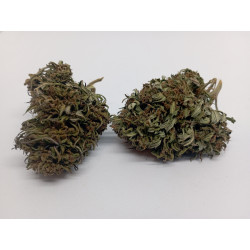 Pack Dégustation CBD Bio – 5 Fleurs Artisanales Françaises – Jardin du Bocage