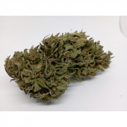 Pack Dégustation CBD Bio – 5 Fleurs Artisanales Françaises – Jardin du Bocage