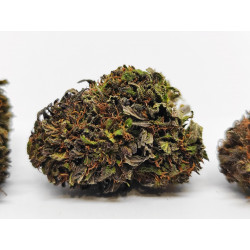 Fleur de CBD Bio Western Cherry – Arômes cerise & framboise – Jardin du Bocage