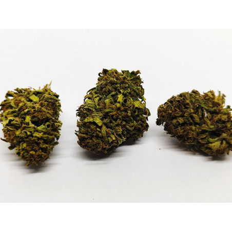 Fleur de CBD Bio Buddha’s Hand – Arômes sucrés & boisés – Jardin du Bocage