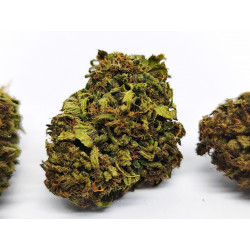 Fleur de CBD Bio Buddha’s Hand – Arômes sucrés & boisés – Jardin du Bocage