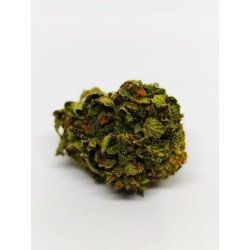 Fleur de CBD Bio Buddha Tree – Arômes tropicaux & fruités – Jardin du Bocage