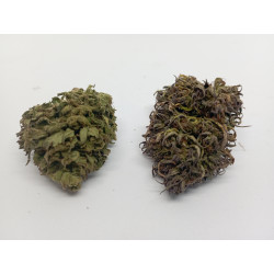 Pack Dégustation CBD Bio “Collection Buddha” – Fleurs Premium – Jardin du Bocage