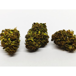 Pack Dégustation CBD Bio “Collection Buddha” – Fleurs Premium – Jardin du Bocage