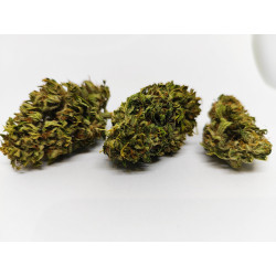 Pack Dégustation CBD Bio “Collection Buddha” – Fleurs Premium – Jardin du Bocage