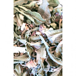 Tisane En regardant passer les nuages