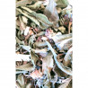 Tisane En regardant passer les nuages