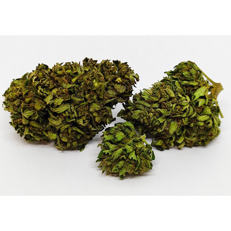 Mazzal Kush – Fleur CBD bio fruitée poire & nectarine | Jardin du Bocage