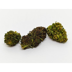 Berry Buddha – Fleur CBD bio aux arômes de fruits rouges | Jardin du Bocage