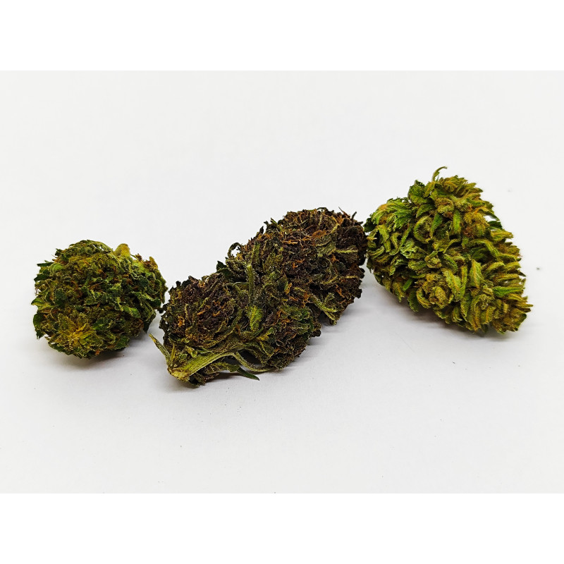 Berry Buddha – Fleur CBD bio aux arômes de fruits rouges | Jardin du Bocage