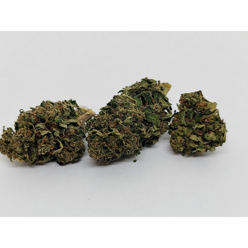 Lemon Buddha – Fleur CBD bio aux arômes d’agrumes frais | Jardin du Bocage