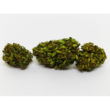 Orange Buddha – Fleur CBD bio aux notes d’agrumes et d’épices | Jardin du Bocage