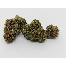 Peach Buddha – Fleur CBD bio douce et fruitée | Jardin du Bocage