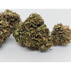 Peach Buddha – Fleur CBD bio douce et fruitée | Jardin du Bocage