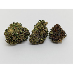 Juicy Funk K. – Fleur CBD fruitée & crémeuse | Jardin du Bocage