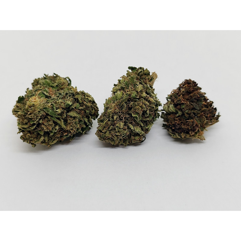 Juicy Funk K. – Fleur CBD fruitée & crémeuse | Jardin du Bocage