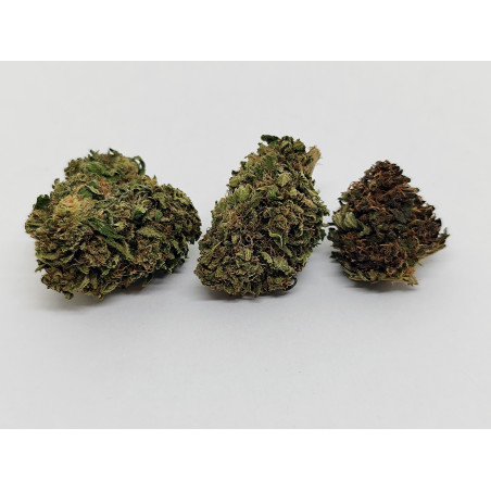 Juicy Funk K. – Fleur CBD fruitée & crémeuse | Jardin du Bocage