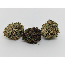 OZK – Fleur CBD bio moderne et gourmande | Jardin du Bocage