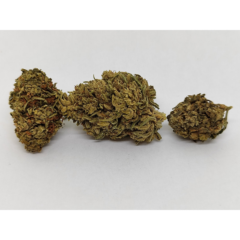 Fleur de CBG Bio Matterhorn – Arômes Noisette & Herbes – Jardin du Bocage