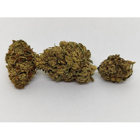 Fleur de CBG Bio Matterhorn – Arômes Noisette & Herbes – Jardin du Bocage