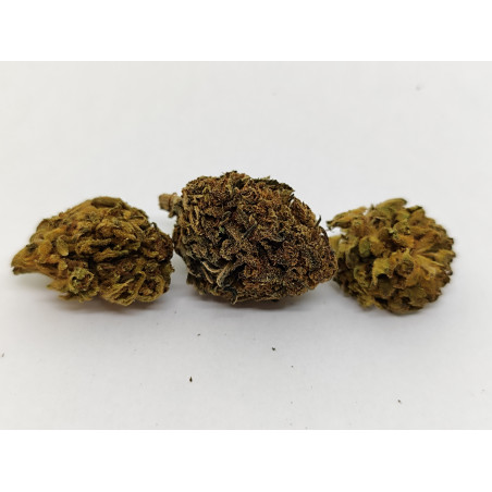 Fleur de CBD Bio SD7 – Arômes boisés & épicés – Jardin du Bocage